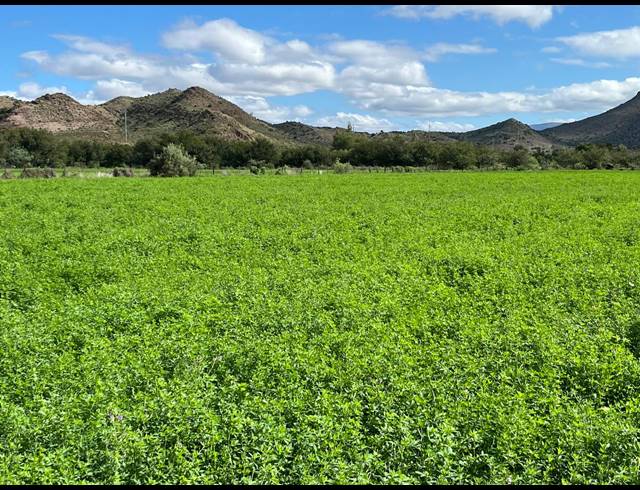 338HA FARM FOR SALE IN LADISMITH RURAL